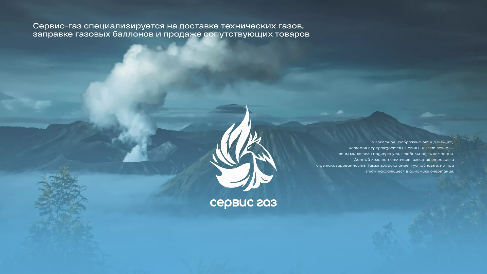 Создание сайта компании «Сервис газ» в Всеволожске