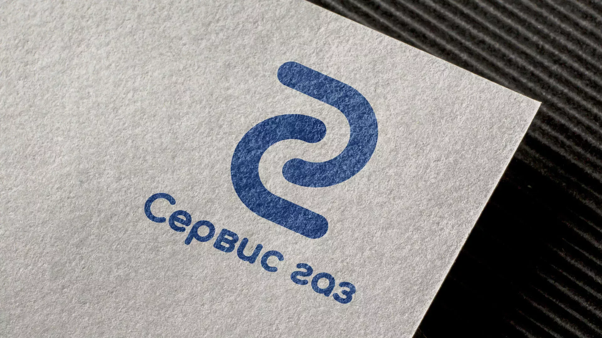 Разработка логотипа «Сервис газ» в Всеволожске