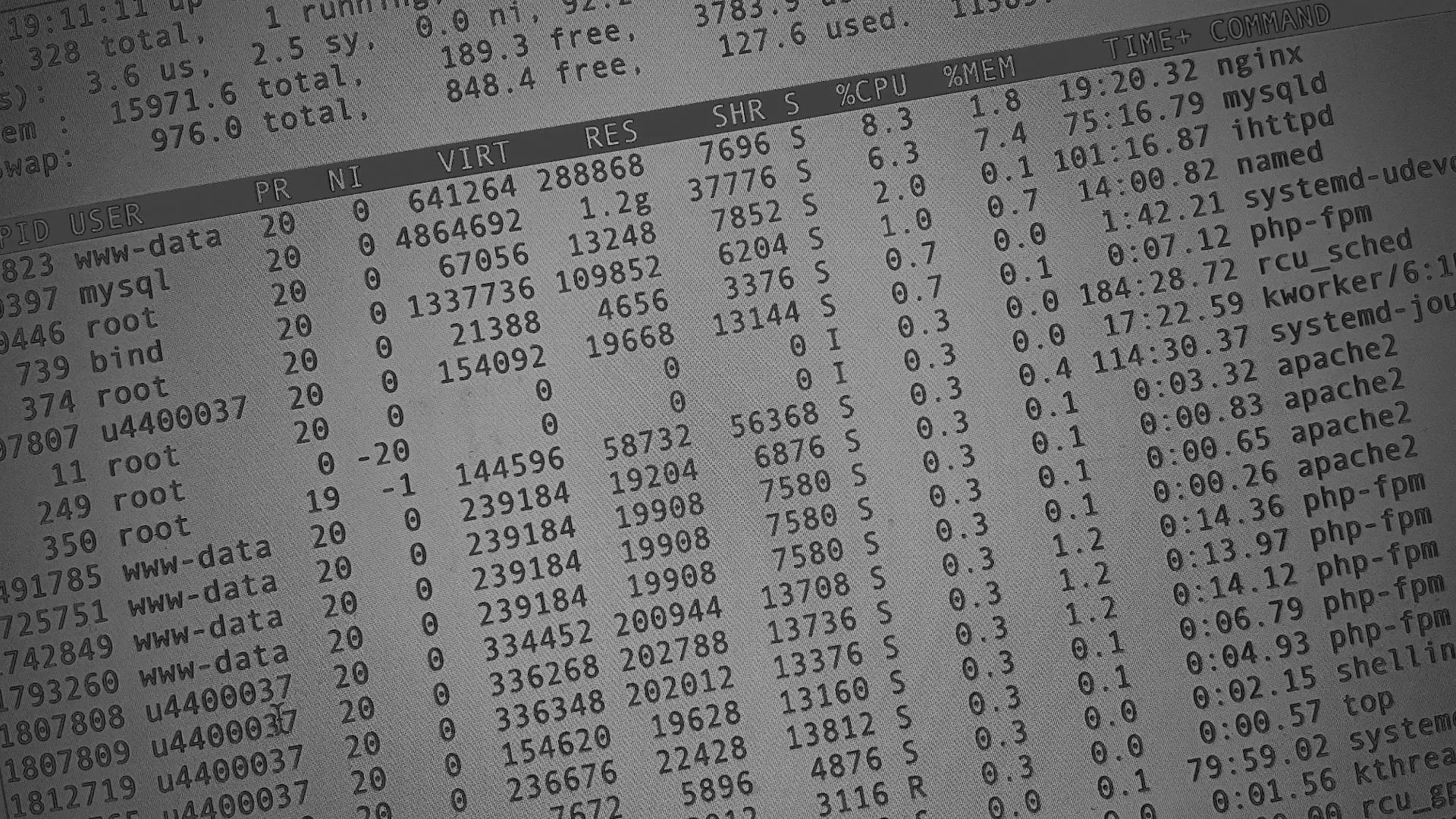 Настройка сервера в Всеволожске