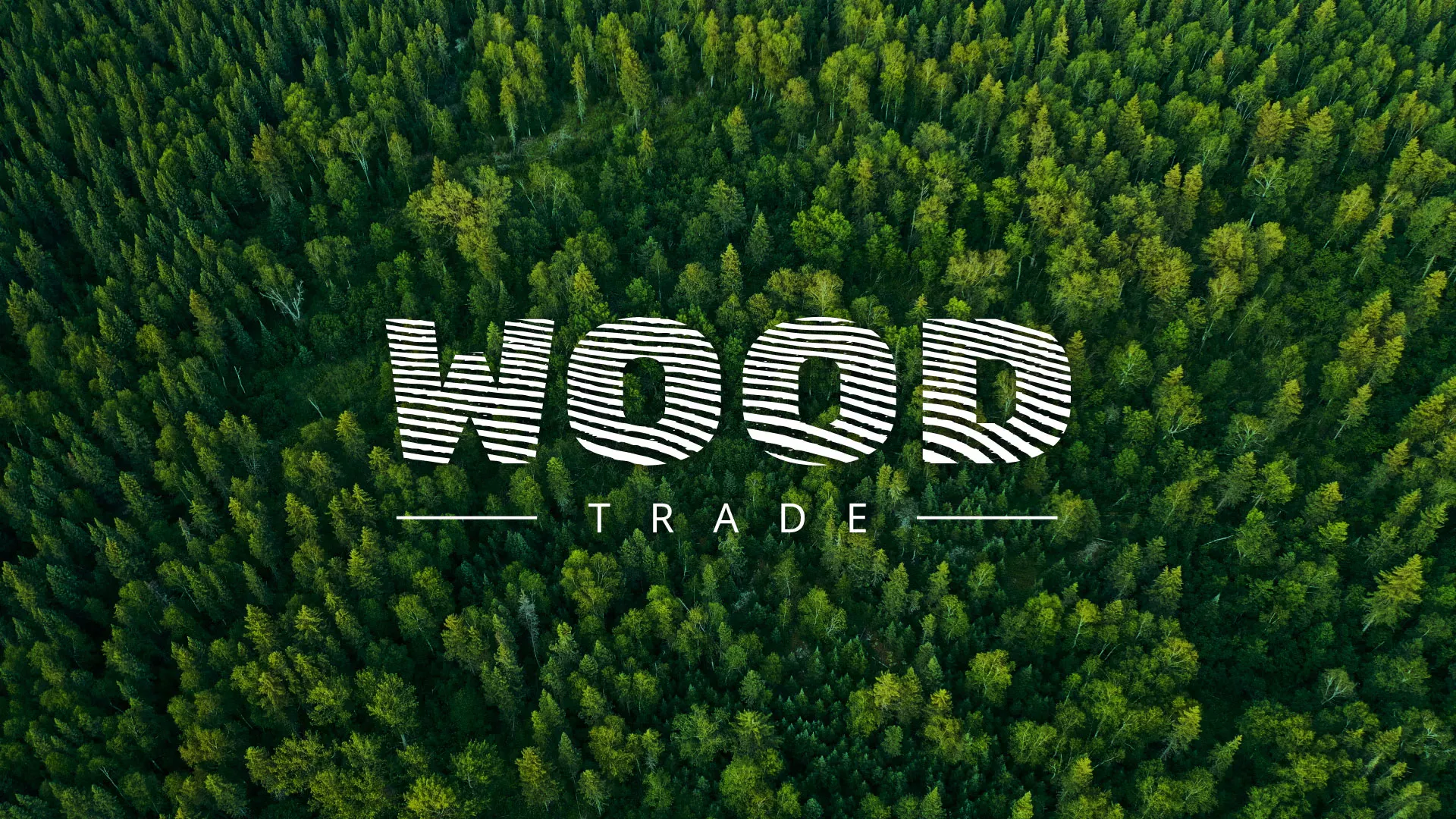 Разработка интернет-магазина компании «Wood Trade» в Всеволожске