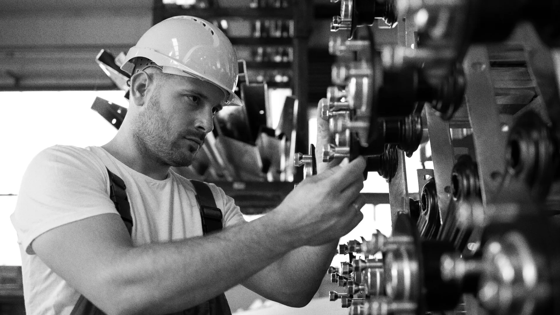 Разработка сайта для завода по продаже оборудования в Всеволожске